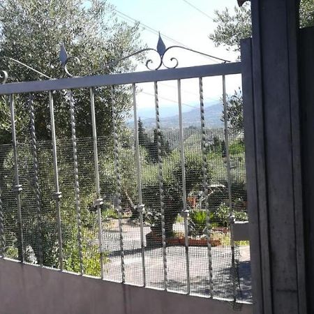 La Casa Tra Gli Ulivi Di Fonte Nuova 1 Vila Exterior foto